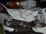 В Клепиковском районе водитель авто «Лада Гранта» погиб после столкновения с лосем
