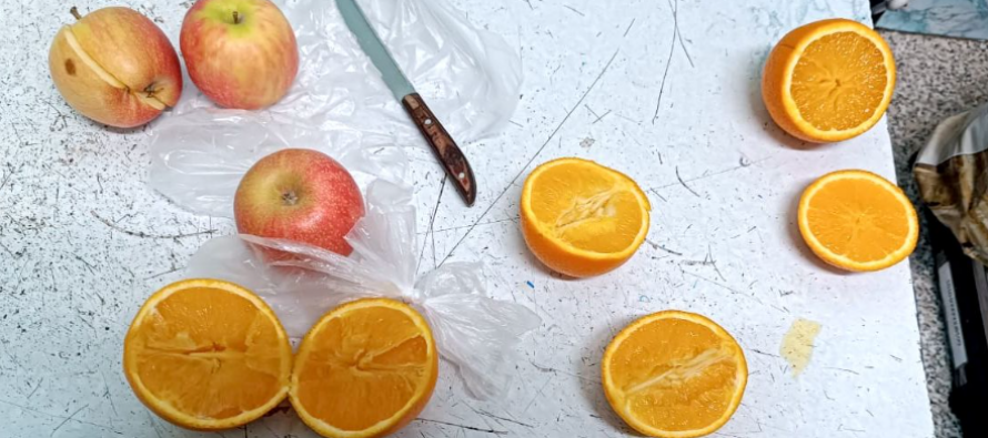 В ИК №2 Рязани пытались передать апельсины с метадоном