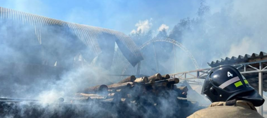 В Рязанском районе произошел сильный пожар на деревообрабатывающей промбазе