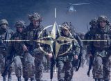 «Бьем целенаправленно»: Крапивник раскрыл потери наемников НАТО в зоне СВО