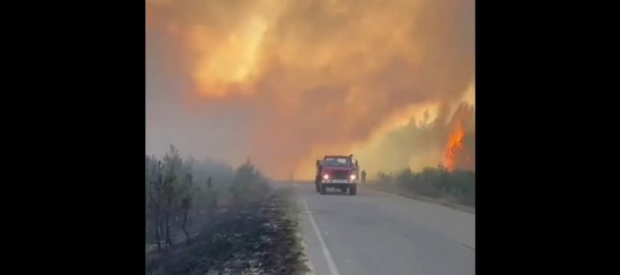 Появилось видео из эпицентра лесного пожара под Рязанью