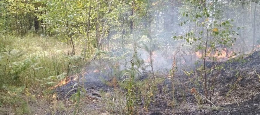 В Пронском районе три дня горели поля, два села постоянно находились под угрозой