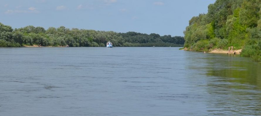 В Рязанской области на Оке маломерное судно переехало мужчину