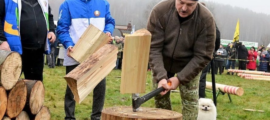 Лукашенко размялся рубкой дров перед встречей с Путиным