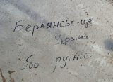 ВСУ написали послание на атаковавшем Бердянск БПЛА, обломки дрона сняли на фото