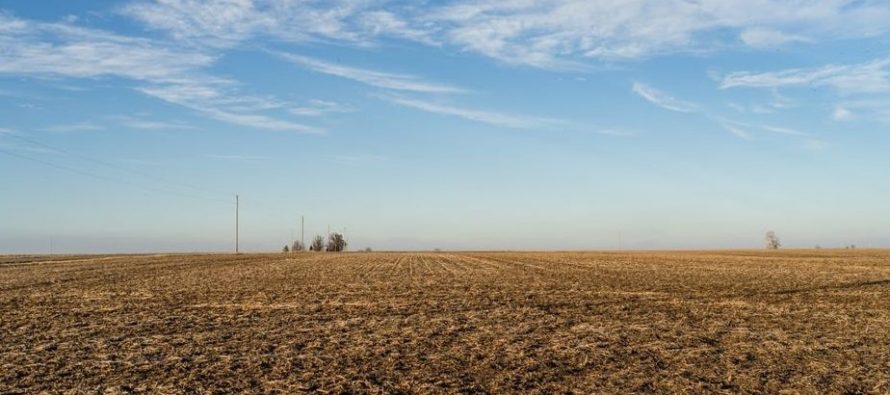 В Рязанской области владельцу земельного участка придется заплатить 200 тысяч штрафа