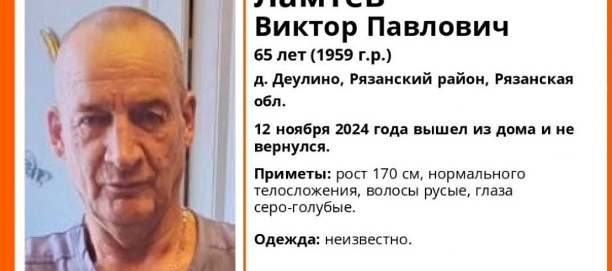 Волонтеры в поисках пропавшего под Рязанью 65-летнего мужчины прошли больше 110 км