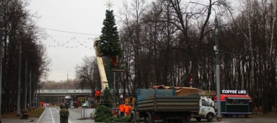 В Рязани начали устанавливать новогодние ели