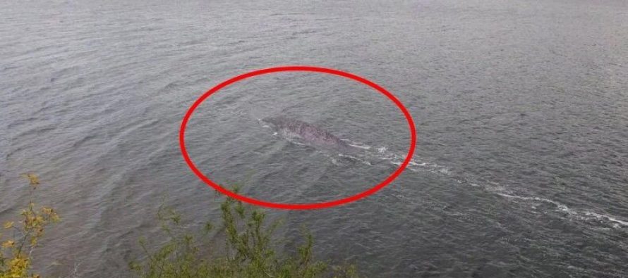 Ученые объяснили тайну Лох-несского чудовища свойствами воды