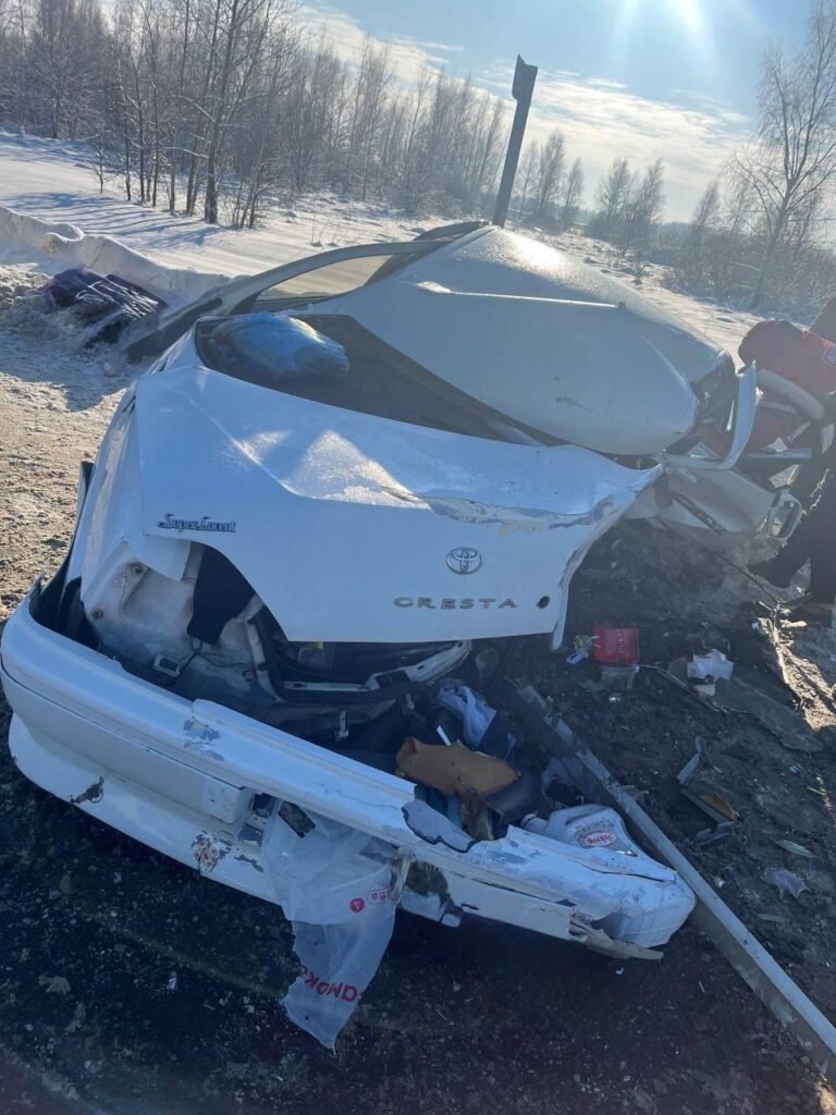 В Шацком районе в ДТП на трассе М-5 погибла 20-летняя пассажирка