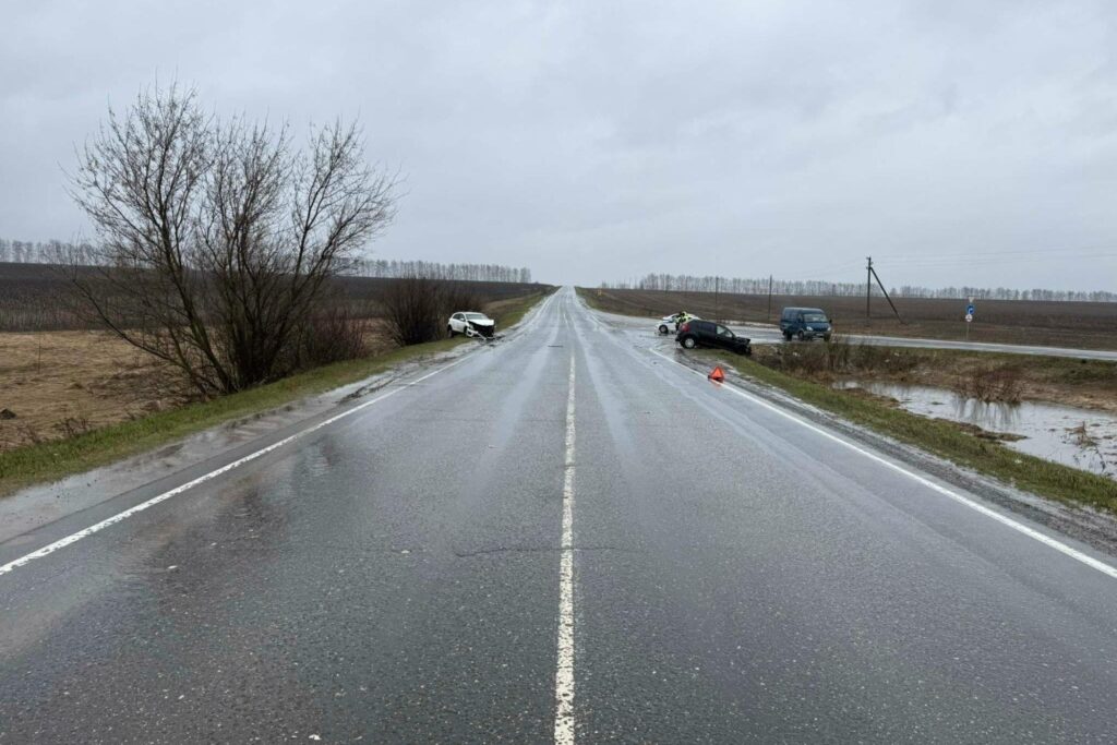 В Скопинском районе в массовом ДТП пострадали три человека