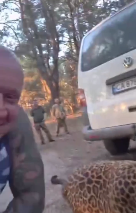 На видео сняли, как сотрудники ТЦК на Украине не стали подходить к мужчине с леопардом
